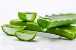 Yuk, Bikin Masker Lidah Buaya dan Almond untuk Rambut Kering!