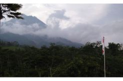 Gunung Merapi Muntahkan Lava Pijar 6 Kali Hari Ini