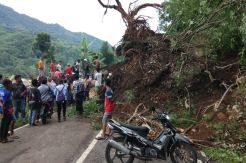 Jalur Maumere-Ende Tertutup Longsor, Antrean Kendaraan Capai 2 Km