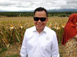 Produksi Melimpah, DPR Sayangkan Keputusan Impor Jagung