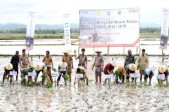 Tingkatkan Produktivitas, Kementan-BNI Lanjutkan GMMT Okmar 2018/2019