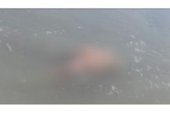 Mayat Wanita Tanpa Busana Ditemukan di Lokasi Wisata Raja Ampat