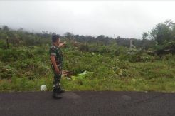 Hutan di Taman Nasional Kerinci Seblat Kembali Dirambah