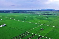 Selain Kelola Air, P3A Bisa Jadi Unit Bisnis Sosial