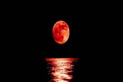 Purnama Super Snow Moon, Awas Rob Ancam Pesisir Pantai