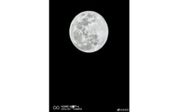 Lewat Foto, CEO Huawei Konfirmasi P30 Pro Punya Quad Kamera Belakang