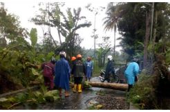 Hujan Es-Angin di Sleman Rusak Bangunan dan Tumbangkan Pohon
