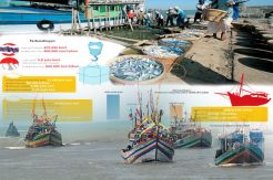 Kolaborasi Freeport Berdayakan Nelayan Kamoro dan Pesisir Mimika