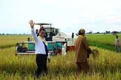 Program Serasi Jadikan Kalsel Lumbung Padi Nasional