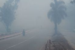 Ladang Minyak Chevron Terbakar Kabut Asap Penuhi Sebagian Kota Dumai