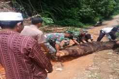 Diguyur Hujan, Delapan Titik Jalan di Merangin Longsor