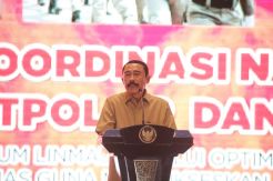Kemendagri Dorong Pembentukan Dinas Damkar Mandiri