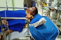 BBKSDA Sebut Lokasi Warga Duel dengan Harimau Memang Kawasan Hutan Lindung