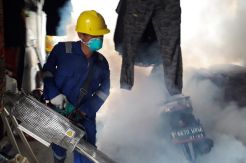 Kasus DBD di Tangsel, Bocah 5 Tahun Meninggal Dunia