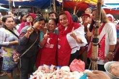 Wakil Wali Kota Semarang Cuti Tiap Rabu untuk Kampanye Jokowi