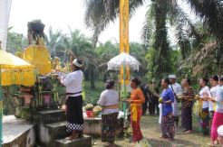 Perayaan Nyepi, Datanglah ke Plakat Tinggi, Anda Serasa di Bali