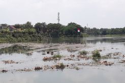Pemkot Tangsel Tuding Warga Masih Suka Buang Sampah di Sungai