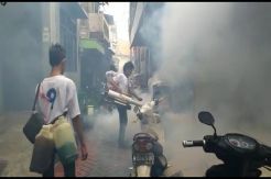 Dua Warga Terserang Demam Berdarah, Perindo Semarang Asapi 600 Rumah