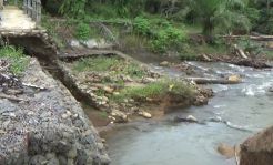 Bendungan Jebol, Ratusan Hektare Sawah di Bengkulu Utara Kekeringan