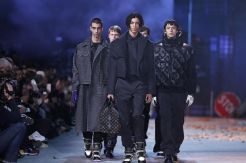 Louis Vuitton Hapus...