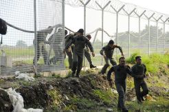 Koopsau II Gelar Latihan Survival Tempur di Bohodopi
