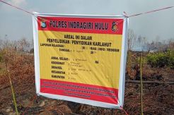 Polisi Selidiki Kebakaran di 30 Hektare Lahan Perusahaan Sawit
