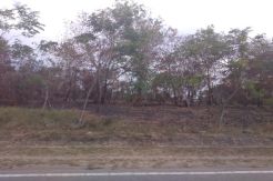 Pelaku Pembakaran Hutan Bisa Dipenjara Selama 10 Tahun