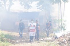 Butuh Peran Aktif Masyarakat untuk Cegah Penyakit DBD