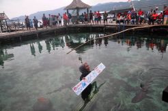 Pemilik Penangkaran Hiu di Karimunjawa Bantah Tak Kantongi Izin
