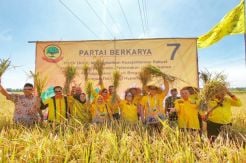 21 Tahun Reformasi, Sektor Pertanian Masih Jalan di Tempat