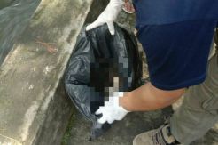 Temuan Mayat Bayi di Sungai Ciliwung Gegerkan Warga Puncak