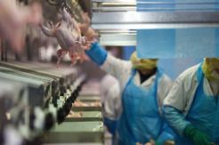 Dinas KPKP Siapkan Dana Rp2 Miliar untuk Renovasi RPHU Rawa Kepiting