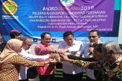 Petani Pangandaran Ekspor 13 Ton Kelapa ke Australia