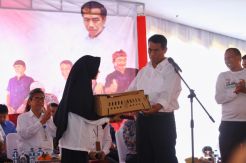 Bantuan Kementan 1,4 Juta Ekor Ayam di Brebes Sudah Bertelur