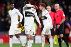 Pemilik Fulham Minta Maaf, Setelah Terdegradasi
