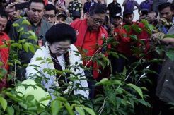 Megawati Ungkap Rahasia Politik yang Penuh dengan Seni
