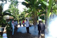 Ada Warga Terserang DBD, Caleg Perindo Asapi Permukiman Padat di Purworejo
