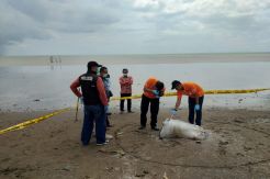 Identitas Mayat Dalam Karung di Pantai Karibea Terungkap dari Sidik Jari