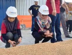 Lembaga Pangan Malaysia Jajaki Perdagangan Beras dengan Bulog