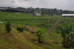 Markaz Syariah, Wajah Lembut di Lereng Gunung Gede