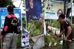 Satpol PP Kendari Tertibkan APK Caleg dan Capres