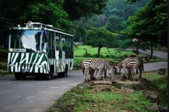 10 Tempat Wisata yang...