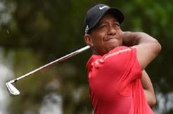 Comeback Woods Jadi...