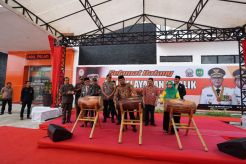 Wagub Sulsel Resmikan Mall Pelayanan Publik DPMTSP Kota Palopo