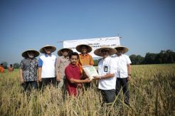 Pertamina EP Ikut Kembangkan Padi SRI di Karawang