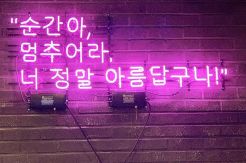 5 Kafe Unik yang Perlu Dikunjungi di Seoul