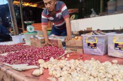 Di Bengkulu Utara Harga Bawang Putih Hampir Setara Harga Daging Sapi