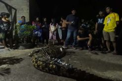 Pasang Umpan Seekor Ayam, Johri Berhasil Menangkap Buaya Muara Ganas
