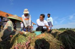 Cara Pertanian Ikut Berperan Turunkan Kemiskinan Nasional