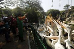 Libur Terakhir Lebaran, Pengunjung Tempat Wisata di Jakarta Membludak